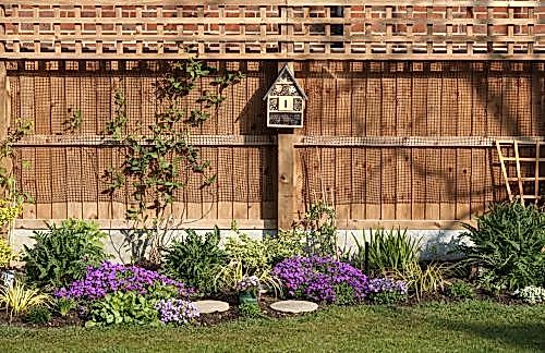 Garden Fence Ideas: 7 Stylish Ways to Combine Security and Natural Design