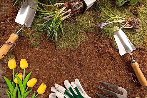 Inspiring Ideas for Garden Landscaping