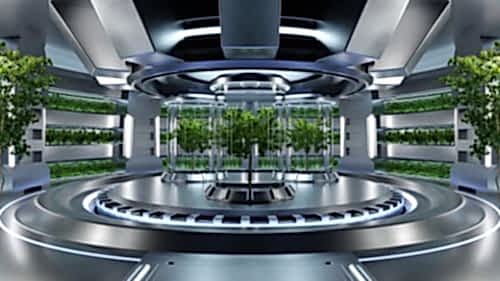 Plant Hospital and Hotel