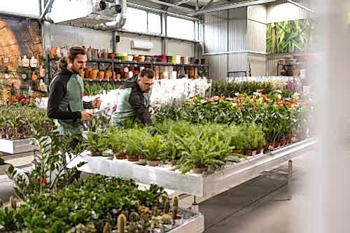 Plant Rental Services