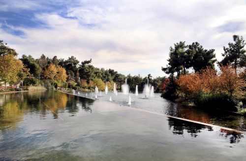 Biological Pond Implementation