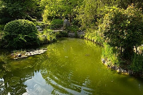 Biyolojik Süs Göleti