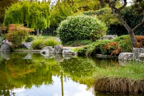 Biological Ornamental Pool