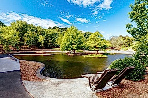 Biyolojik Süs Havuzu