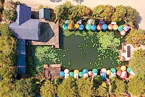 Biyolojik Yüzme Göleti