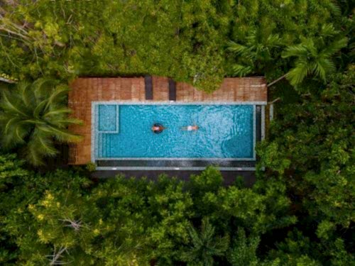 Biyolojik Yüzme Havuzu