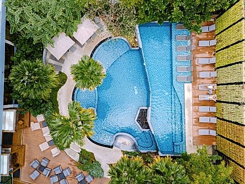 Biological Swimming Pools