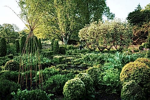 What Is Botany? The Importance of Plant Science in Nature and Its Areas of Use