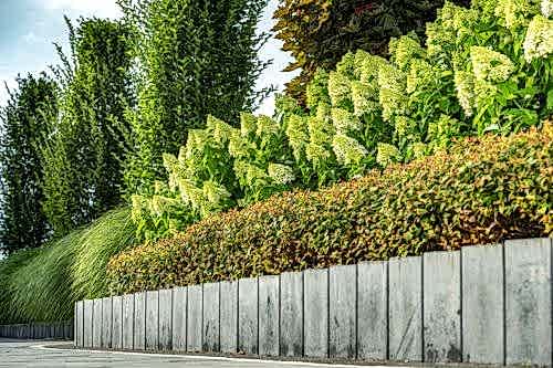 Dikey Bahçe ve Bitkilendirme Sistemleri
