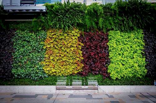 Vertical Garden and Planting Systems