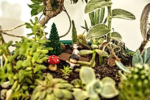 Hobby Garden Guide: The Most Natural Escape Spots in Istanbul