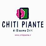 Our Business Partners