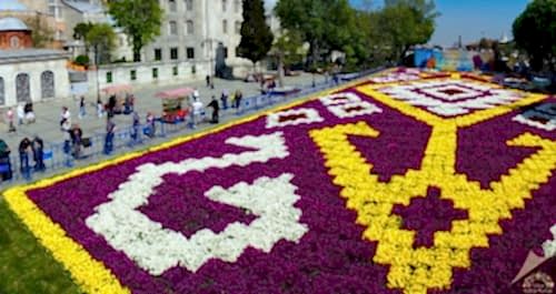 What Are Istanbul’s Natural Wonders? Top Places You Should Explore