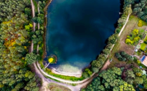  Transformation from Chemical to Biological