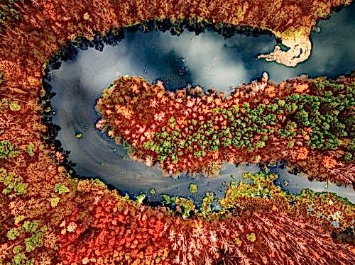  Transformation from Chemical to Biological