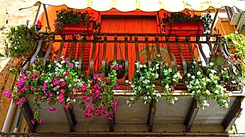 Vertical Gardening for Small Balconies