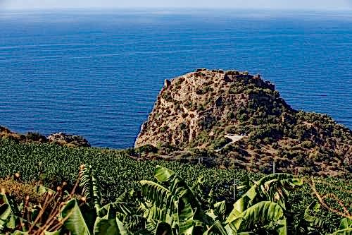 What is Maquis Vegetation? Its Use in Garden Design