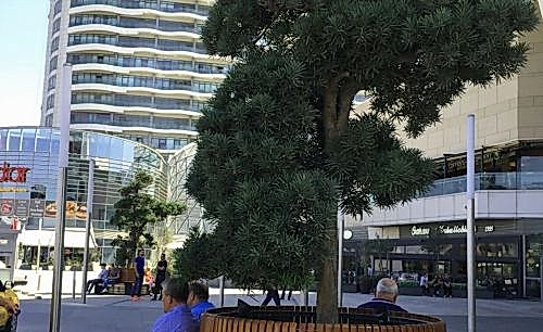 Mall Of İstanbul | Cem Botanik