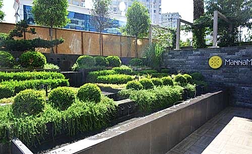 Manna Hotel | Cem Botanik