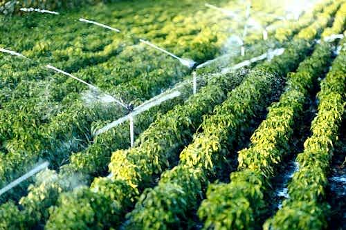 Automatic Irrigation System