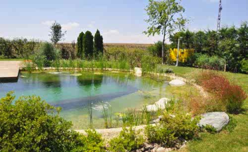 Özel Villa Bahçesi 3