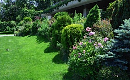 Özel Villa Bahçesi 6