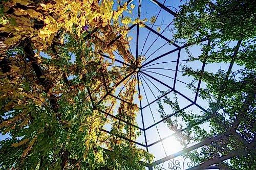 Pergola Systems: Modern Designs and Functional Features