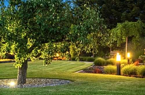 Professional Garden Lighting