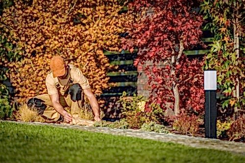 Autumn Garden Maintenance