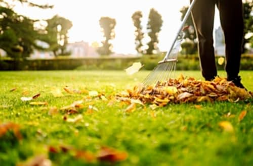 Sonbahar Çim Bakımı