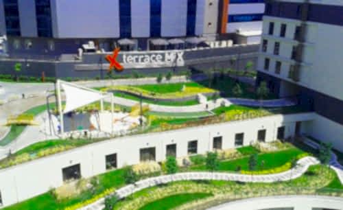 Terrace Mix | Cem Botanik