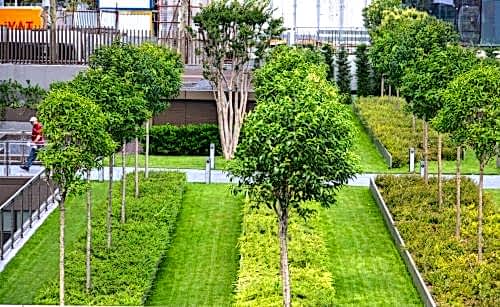 Torun Center | Cem Botanik