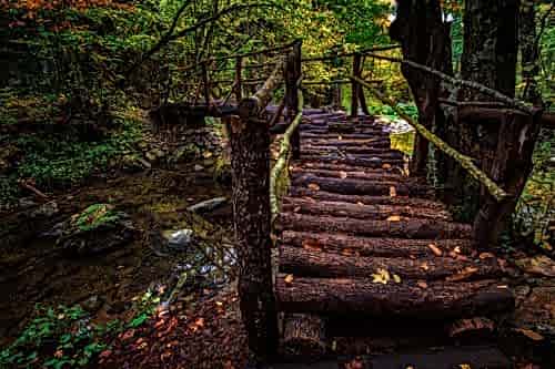 Sleeper Applications: Natural and Aesthetic Landscaping Solutions