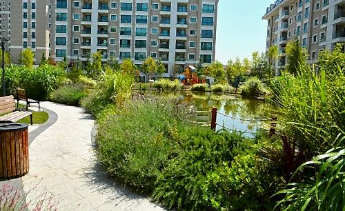 Trendist | Cem Botanik