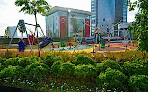 Water Garden | Cem Botanik