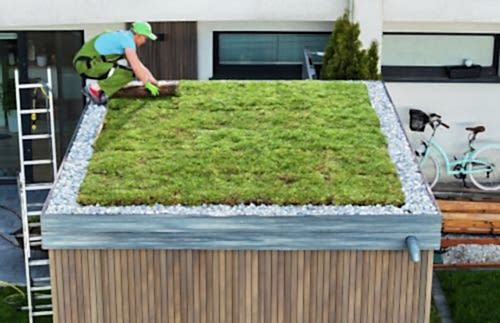 Yeşil Çatı Sistemleri