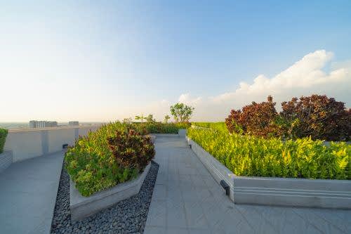 Yeşil Çatı Sistemleri